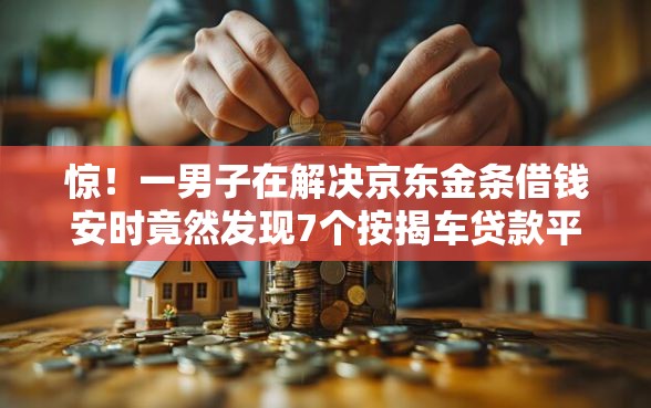 惊！一男子在解决京东金条借钱安时竟然发现7个按揭车贷款平台，事后分享了出来