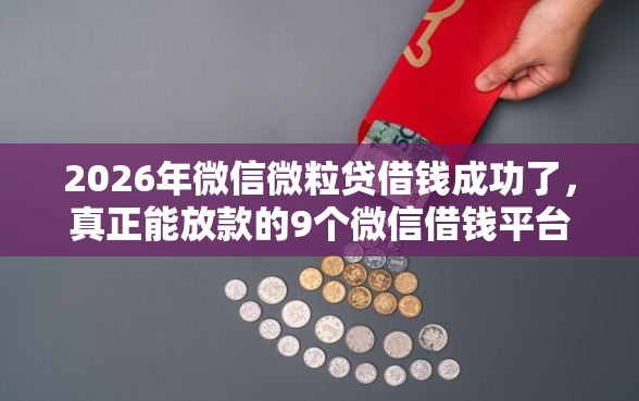 2026年微信微粒贷借钱成功了，真正能放款的9个微信借钱平台推荐