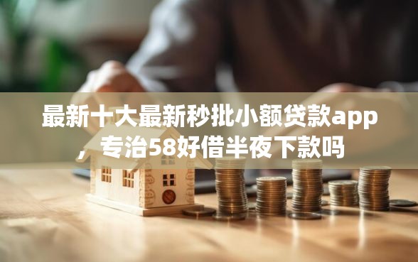 最新十大最新秒批小额贷款app，专治58好借半夜下款吗