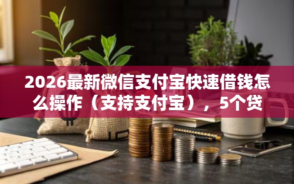 2026最新微信支付宝快速借钱怎么操作（支持支付宝），5个贷款平台正规无私分享