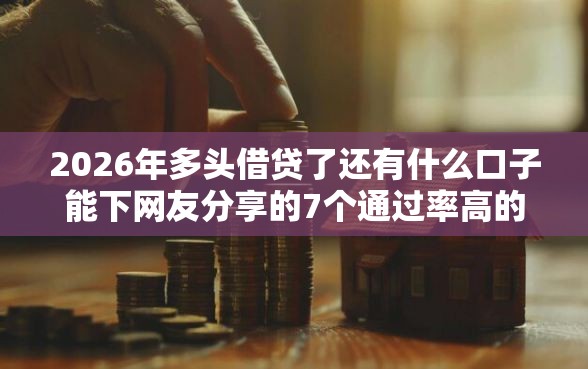 2026年多头借贷了还有什么口子能下网友分享的7个通过率高的贷款平台我觉得不错！