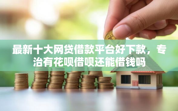 最新十大网贷借款平台好下款，专治有花呗借呗还能借钱吗