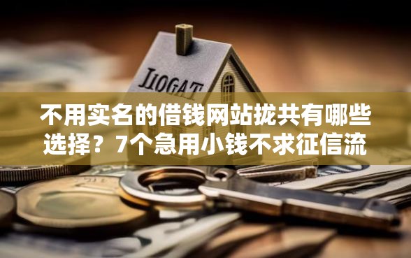 不用实名的借钱网站拢共有哪些选择？7个急用小钱不求征信流水轻松贷的口子详解