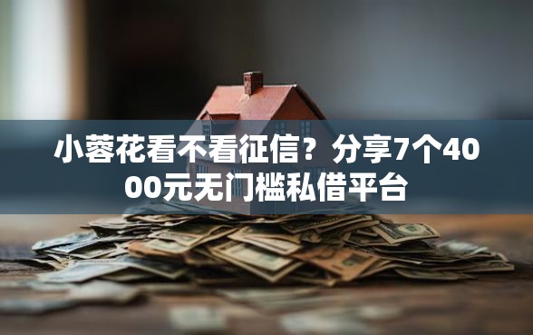 小蓉花看不看征信？分享7个4000元无门槛私借平台