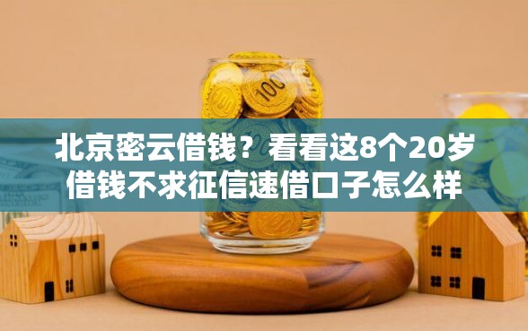 北京密云借钱？看看这8个20岁借钱不求征信速借口子怎么样