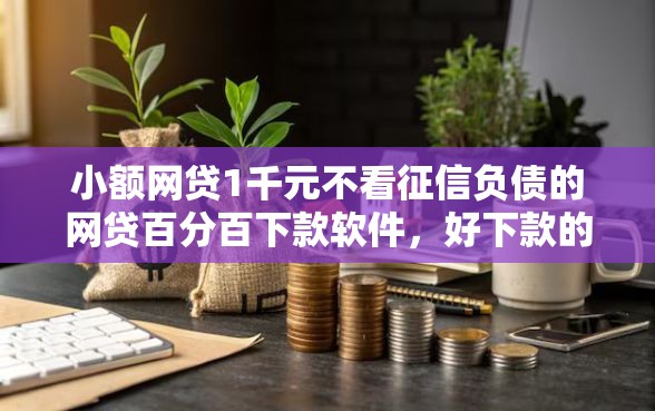 小额网贷1千元不看征信负债的网贷百分百下款软件，好下款的大额网贷有哪些的5个平台介绍