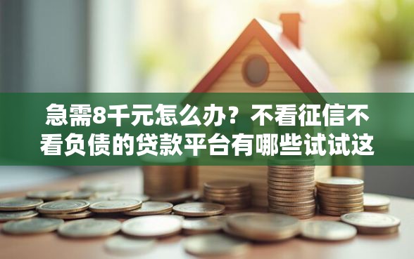 急需8千元怎么办？不看征信不看负债的贷款平台有哪些试试这7个无门槛平台
