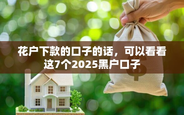 花户下款的口子的话，可以看看这7个2025黑户口子