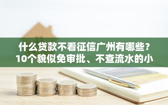 什么贷款不看征信广州有哪些？10个貌似免审批、不查流水的小额度贷款口子合集