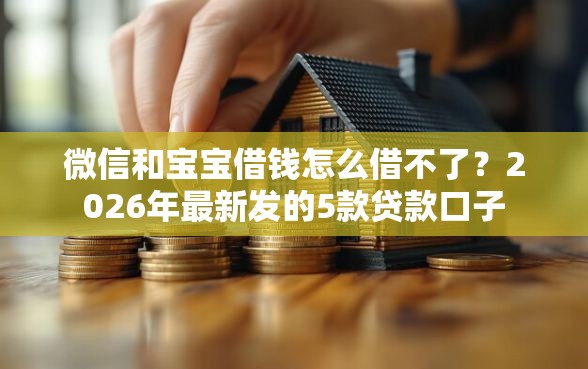 微信和宝宝借钱怎么借不了？2026年最新发的5款贷款口子