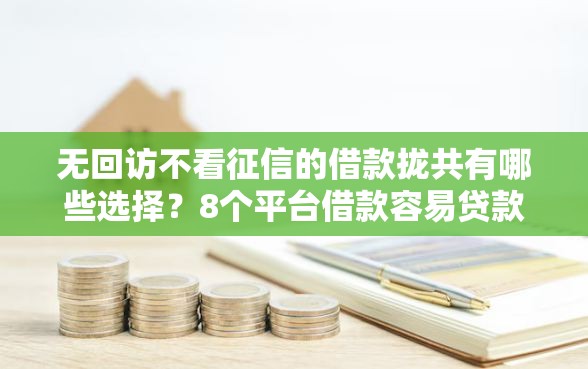 无回访不看征信的借款拢共有哪些选择？8个平台借款容易贷款详解