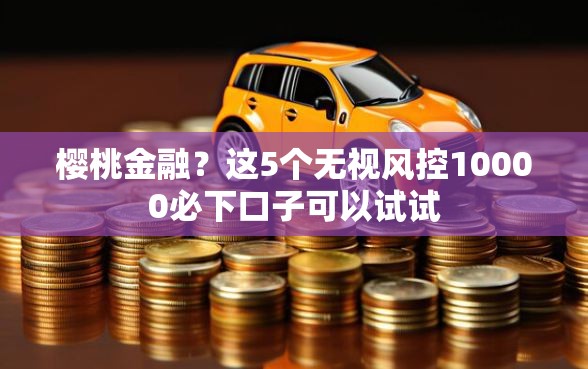樱桃金融？这5个无视风控10000必下口子可以试试