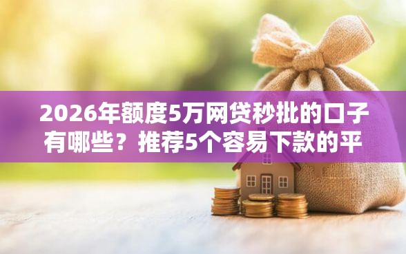 2026年额度5万网贷秒批的口子有哪些？推荐5个容易下款的平台