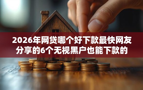2026年网贷哪个好下款最快网友分享的6个无视黑户也能下款的口子我觉得不错！