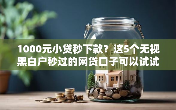 1000元小贷秒下款？这5个无视黑白户秒过的网贷口子可以试试