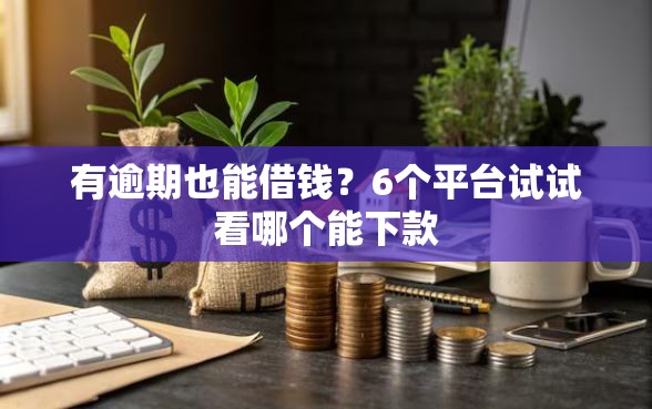 有逾期也能借钱？6个平台试试看哪个能下款