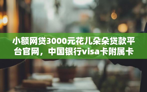小额网贷3000元花儿朵朵贷款平台官网，中国银行visa卡附属卡被拒的5个平台介绍