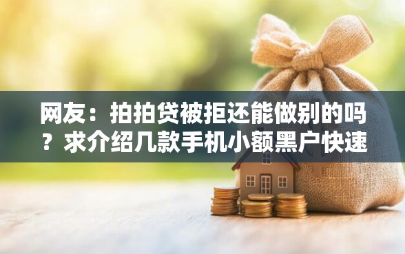 网友：拍拍贷被拒还能做别的吗？求介绍几款手机小额黑户快速贷款平台