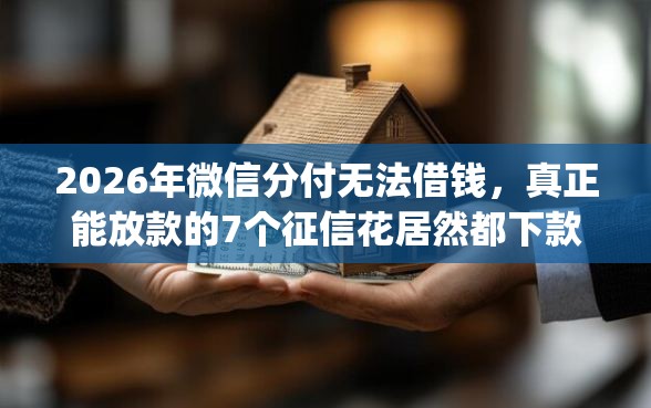 2026年微信分付无法借钱，真正能放款的7个征信花居然都下款的app推荐