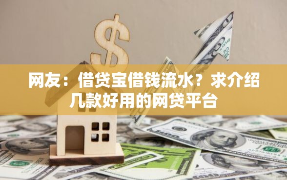 网友：借贷宝借钱流水？求介绍几款好用的网贷平台