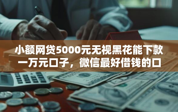 小额网贷5000元无视黑花能下款一万元口子，微信最好借钱的口子的8个平台介绍