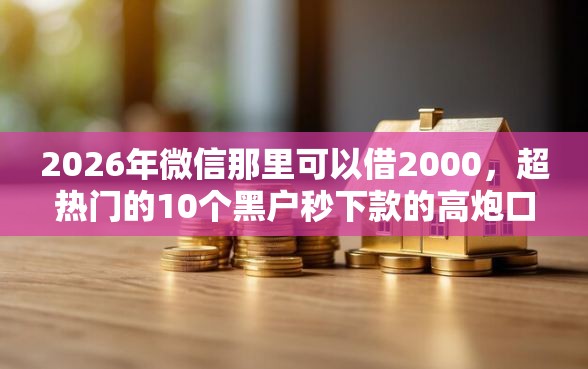 2026年微信那里可以借2000，超热门的10个黑户秒下款的高炮口子推荐