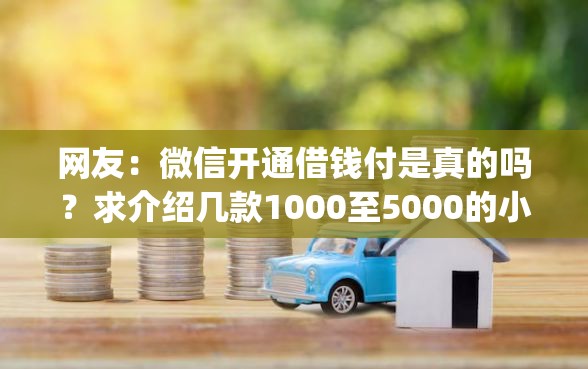 网友：微信开通借钱付是真的吗？求介绍几款1000至5000的小额贷款app