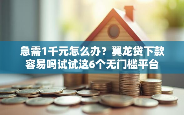 急需1千元怎么办？翼龙贷下款容易吗试试这6个无门槛平台