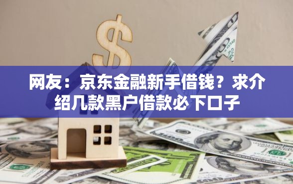 网友：京东金融新手借钱？求介绍几款黑户借款必下口子