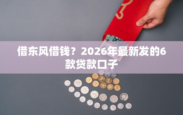 借东风借钱？2026年最新发的6款贷款口子