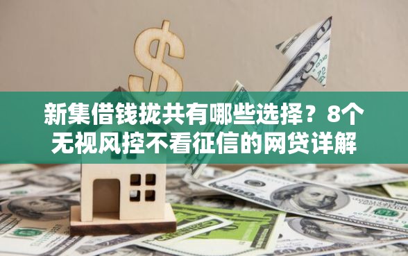 新集借钱拢共有哪些选择？8个无视风控不看征信的网贷详解
