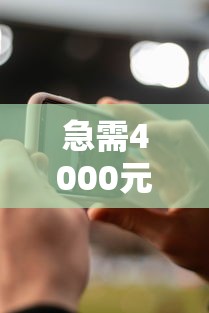急需4000元怎么办？泉州人借钱试试这6个无门槛平台