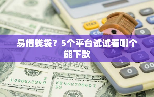 易借钱袋？5个平台试试看哪个能下款