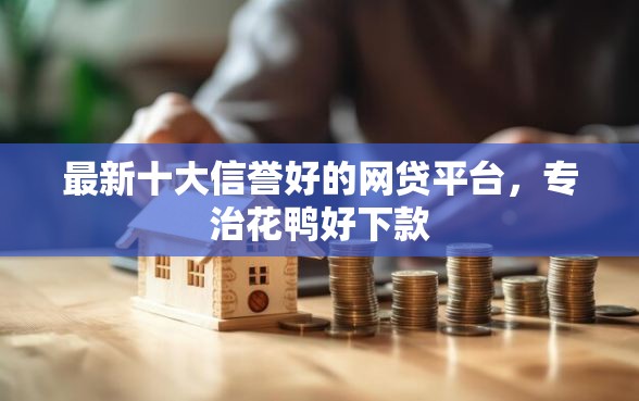 最新十大信誉好的网贷平台，专治花鸭好下款