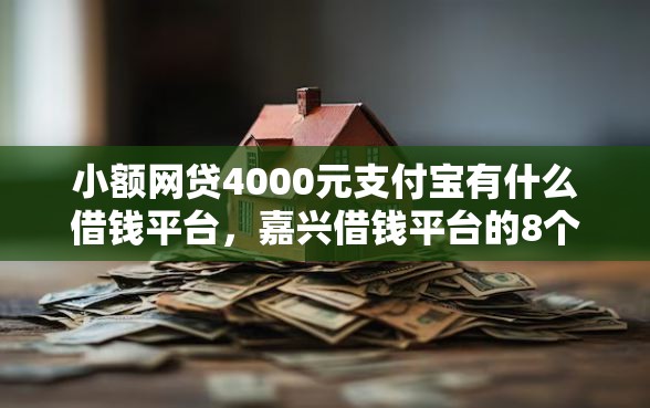 小额网贷4000元支付宝有什么借钱平台，嘉兴借钱平台的8个平台介绍