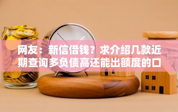 网友：新信借钱？求介绍几款近期查询多负债高还能出额度的口子