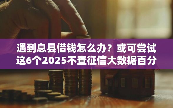 遇到息县借钱怎么办？或可尝试这6个2025不查征信大数据百分百下款的平台