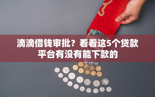 滴滴借钱审批？看看这5个贷款平台有没有能下款的