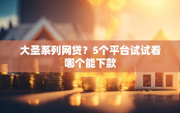 大圣系列网贷？5个平台试试看哪个能下款
