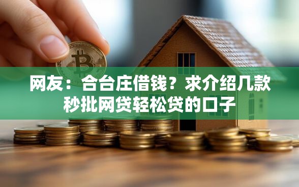 网友：合台庄借钱？求介绍几款秒批网贷轻松贷的口子