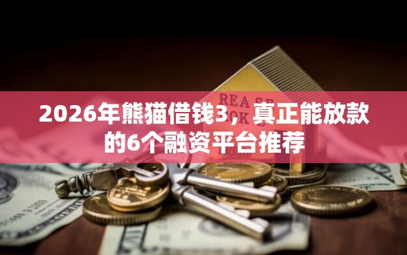 2026年熊猫借钱3，真正能放款的6个融资平台推荐