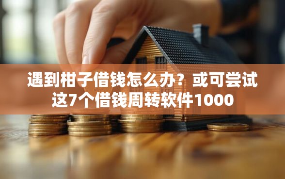遇到柑子借钱怎么办？或可尝试这7个借钱周转软件1000