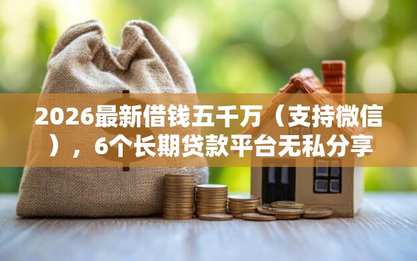 2026最新借钱五千万（支持微信），6个长期贷款平台无私分享