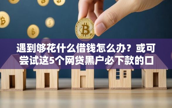 遇到够花什么借钱怎么办？或可尝试这5个网贷黑户必下款的口子
