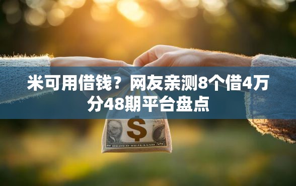 米可用借钱？网友亲测8个借4万分48期平台盘点