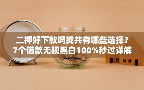 二押好下款吗拢共有哪些选择?7个借款无视黑白100%秒过详解 二押好下款吗拢共有哪些选择?7个借款无视黑白100%秒过详解