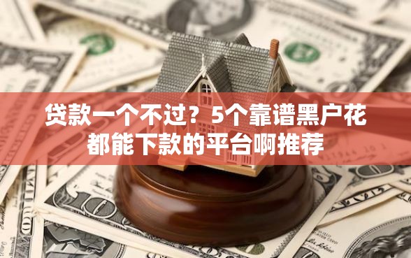 贷款一个不过？5个靠谱黑户花都能下款的平台啊推荐