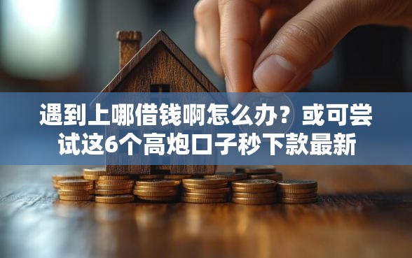 遇到上哪借钱啊怎么办？或可尝试这6个高炮口子秒下款最新