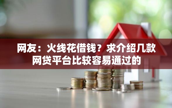 网友：火线花借钱？求介绍几款网贷平台比较容易通过的