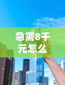急需8千元怎么办？电子签个人版试试这7个无门槛平台